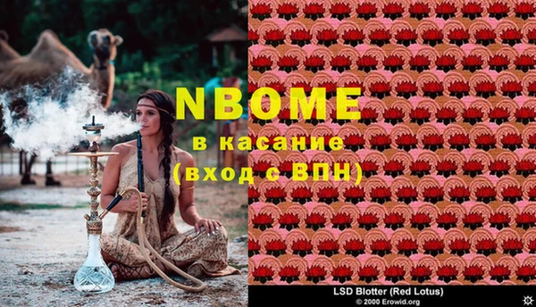 молекула духа Кодинск