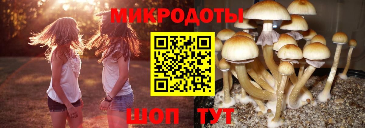 Псилоцибиновые грибы прущие грибы  Псилоцибиновые грибы ЛСД  Городец  Вход с VPN 